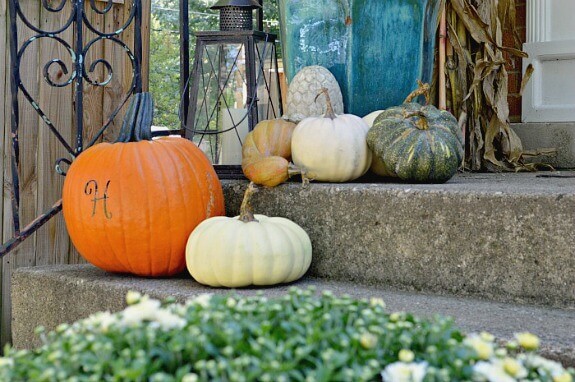 How to Prevent Squirrels from Eating Your Pumpkins