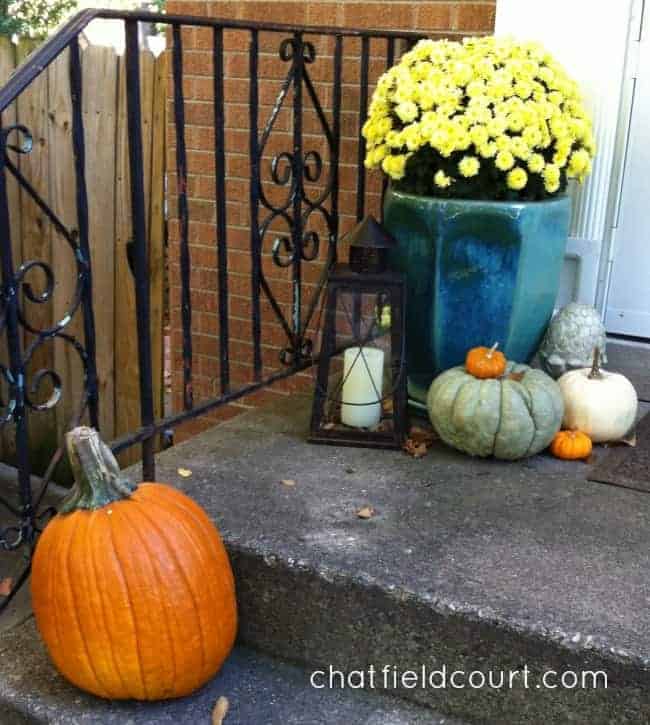 pumpkins and a potted yellow mum on a small front porch