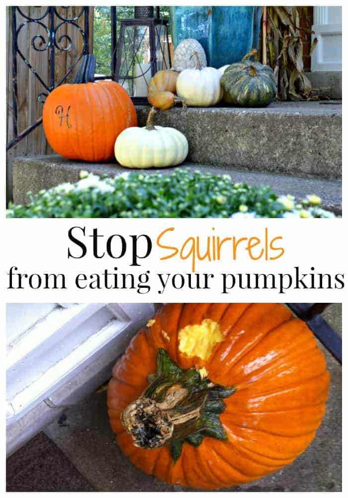 pumpkins on front porch and big orange pumpkin with a chunk eaten out of it