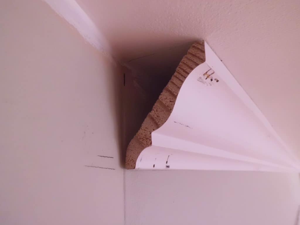 Master Bedroom Walls and Crown Molding | chatfieldcourt.com