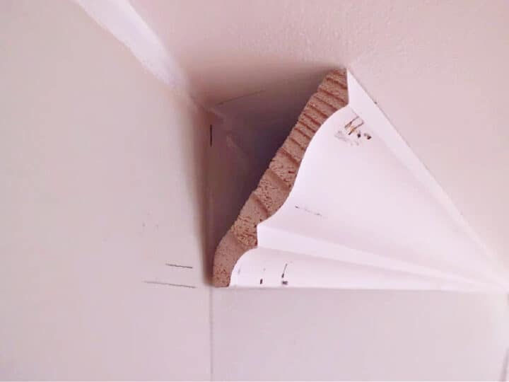 Installing Crown Molding image side view of crown molding on wall