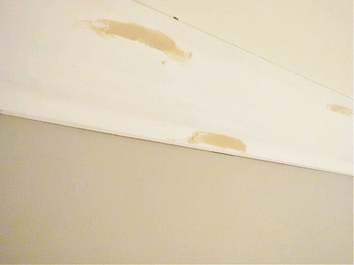 crown molding with wood putting covering nail holes