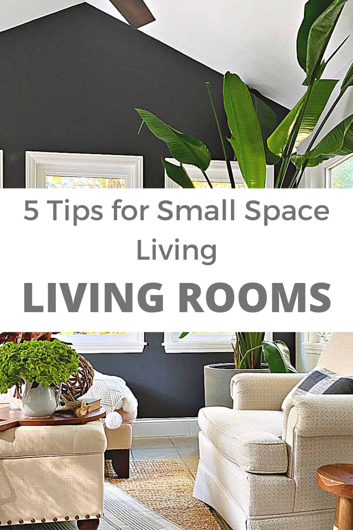 small living room with dark accent wall and large pinterest graphic