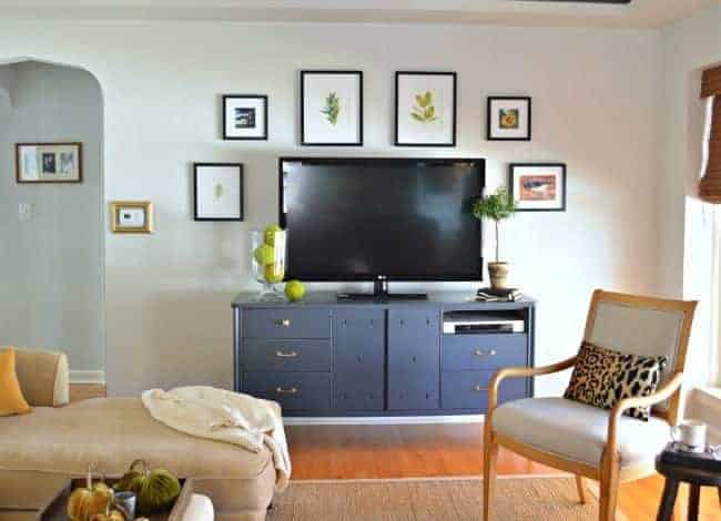 nature inspired pictures that make a tv gallery wall with a blue console