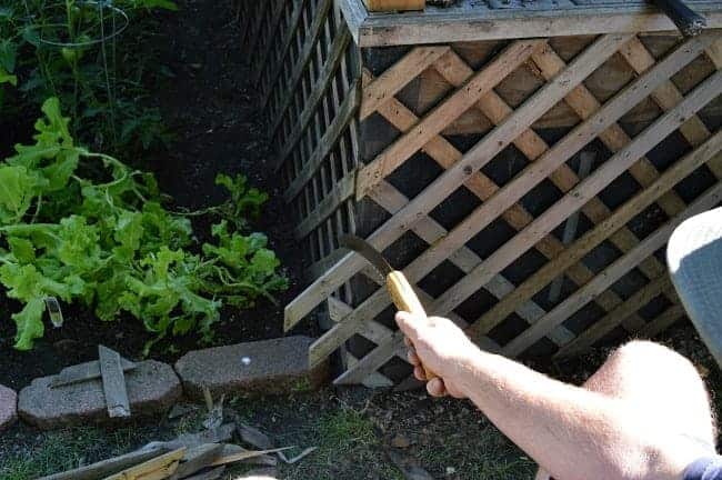 trimming deck lattice with a hand saw