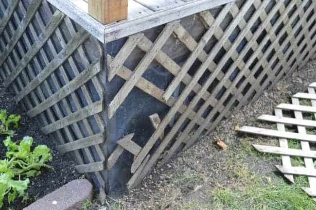 broken lattice under deck