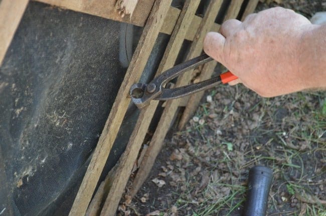 using tool to remove nails from lattice