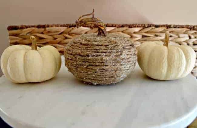 Pumpkins on a counter