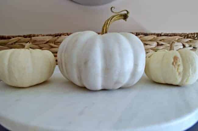 Mini Pumpkins Get Makeovers | www.chatfieldcourt.com