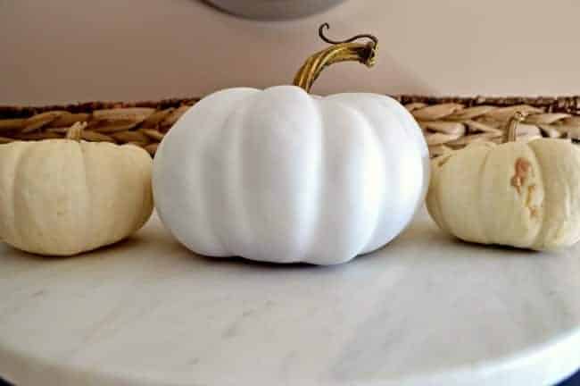 Mini Pumpkins Get Makeovers | www.chatfieldcourt.com