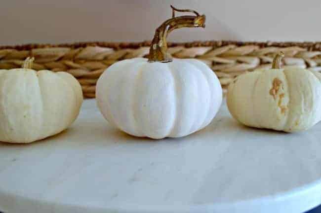 Mini Pumpkins Get Makeovers | www.chatfieldcourt.com