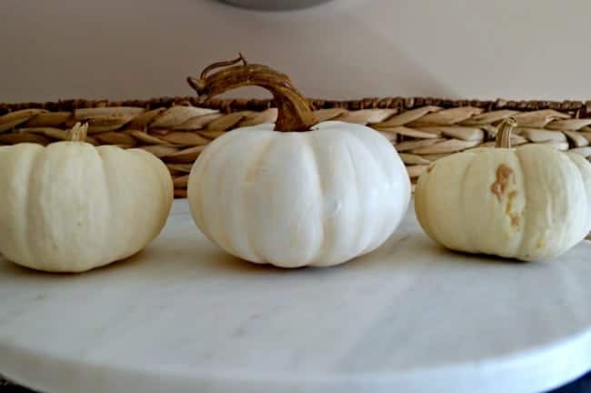 Mini Pumpkins Get Makeovers | www.chatfieldcourt.com