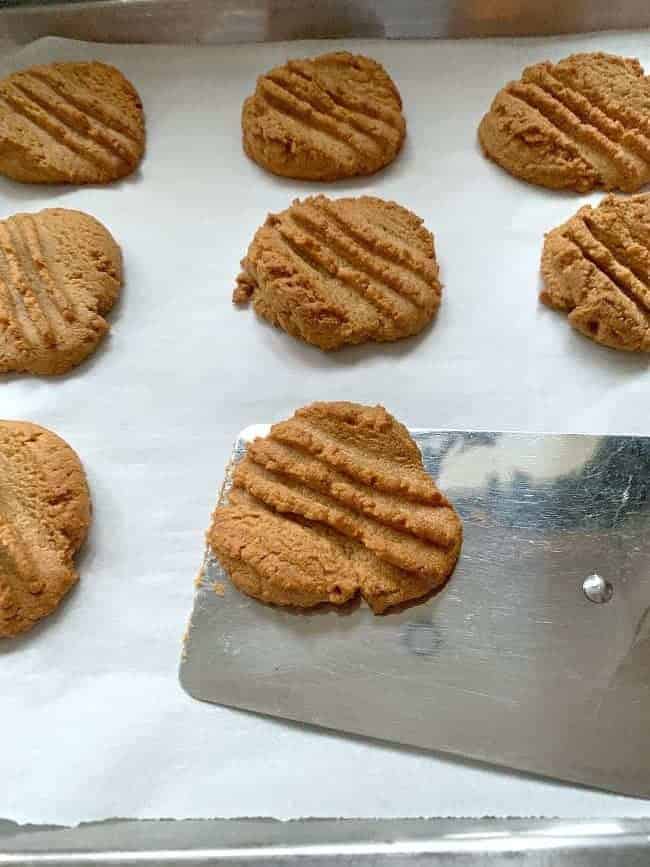 removing freshly baked peanut butter cookies from baking sheet with spatula