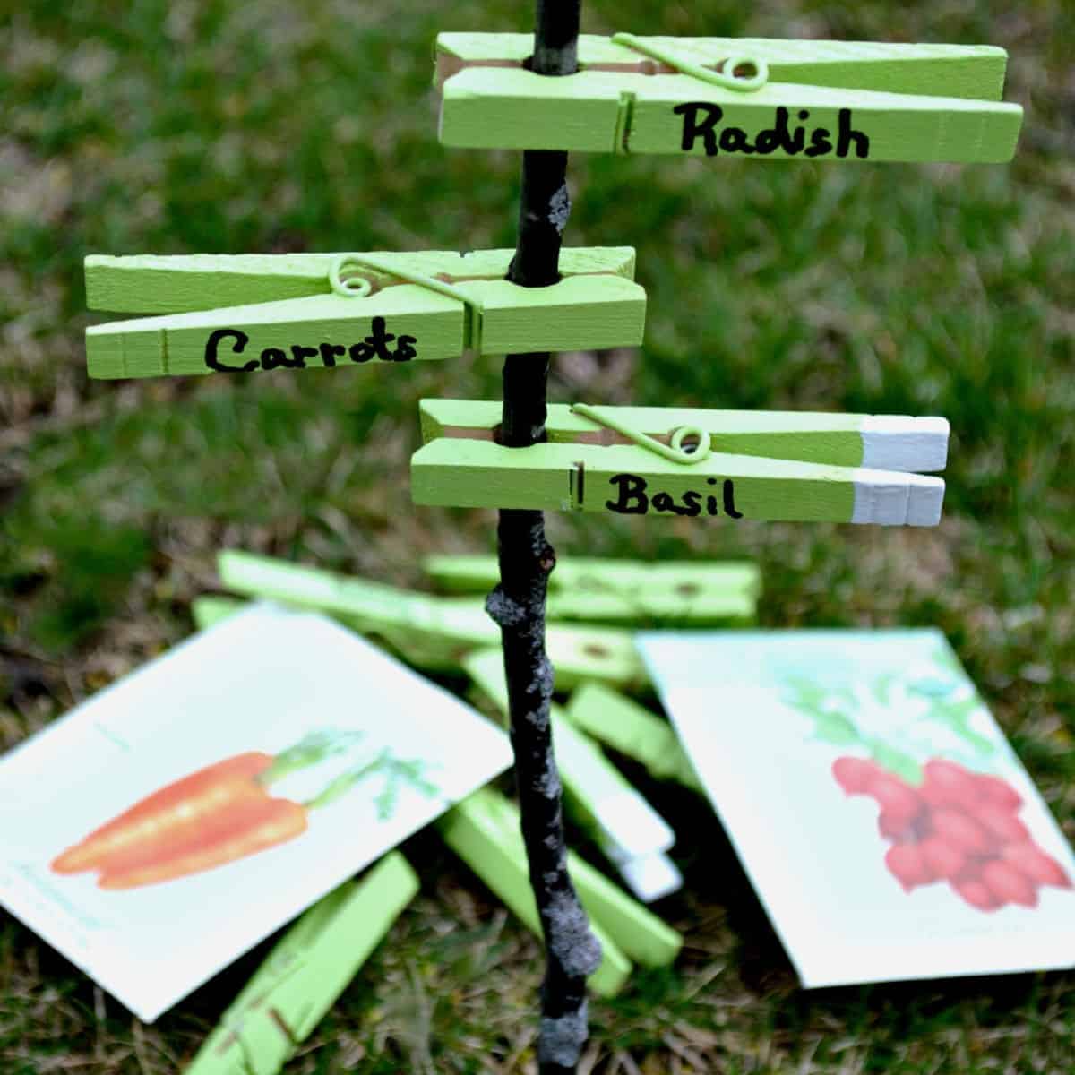 Easy and Cheap DIY Garden Markers
