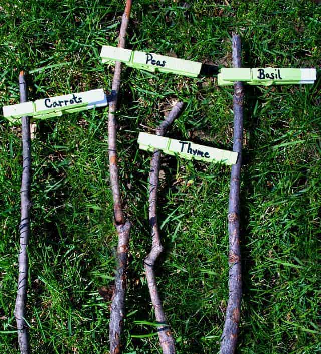 4 clothes pins on sticks used as garden markers