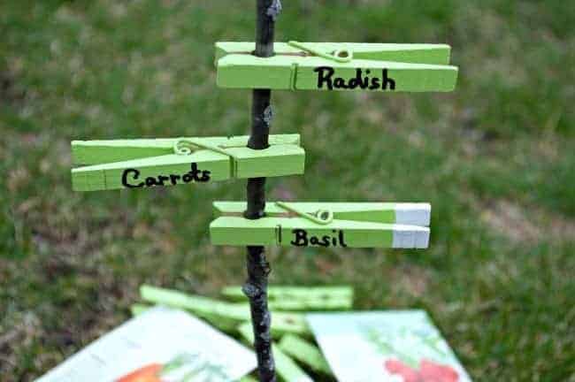 stick with 3 painted clothes pins on it used as garden markers