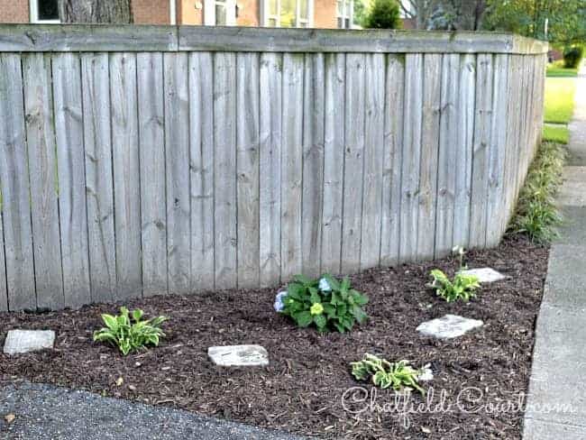 wood fence with dirt and mold on it