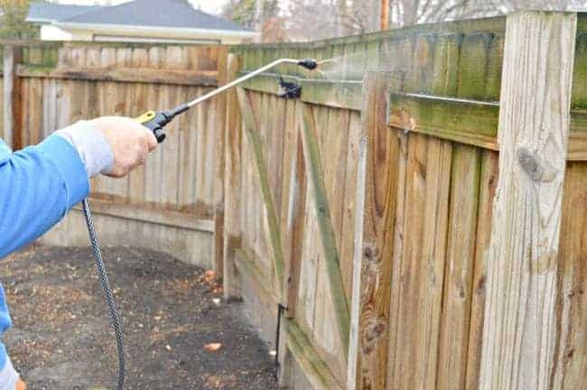 man spraying liquid on mold on wooden fence