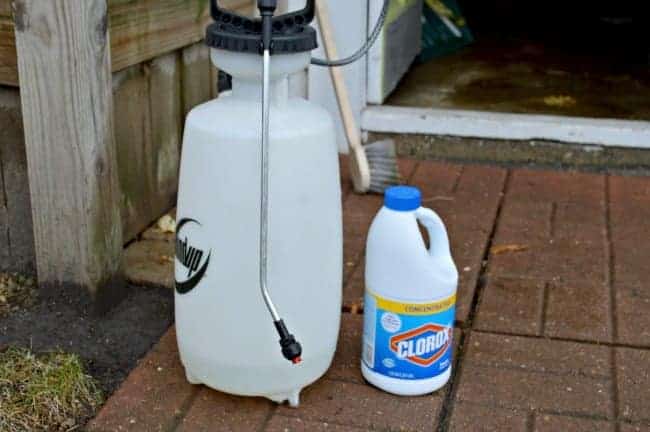 bleach sprayer and bottle of Clorox bleach