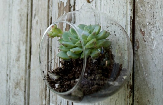 DIY Mason Jar Sconces on a Barn Wood Door