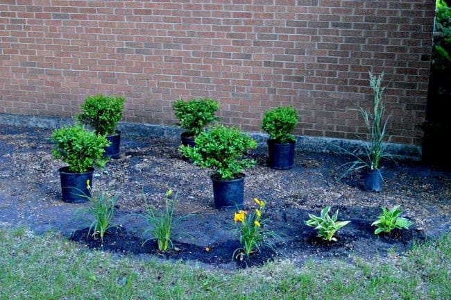 Front Flowerbed Finally Finished | www.chatfieldcourt.com