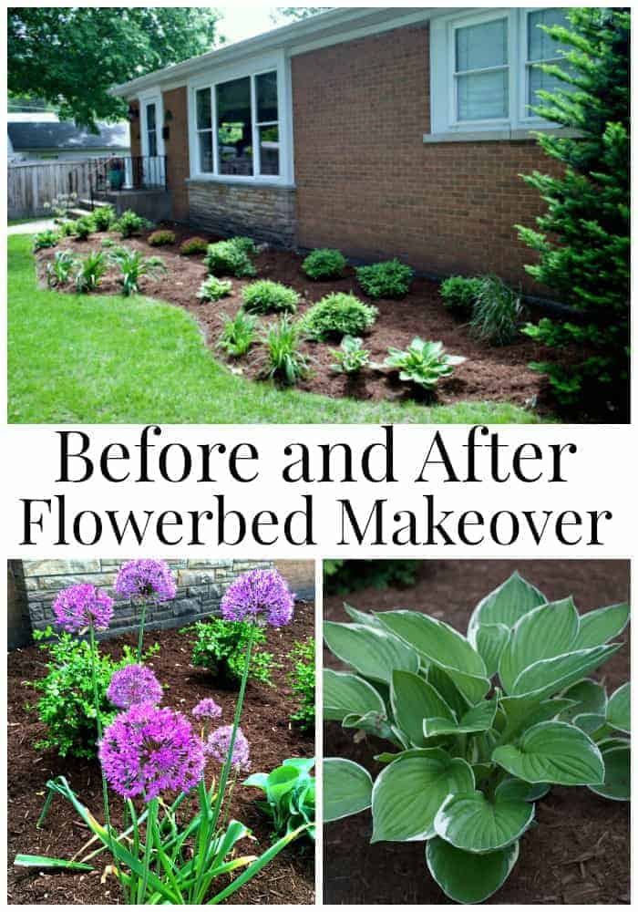 Before and After Flowerbed Makeover | www.chatfieldcourt.com