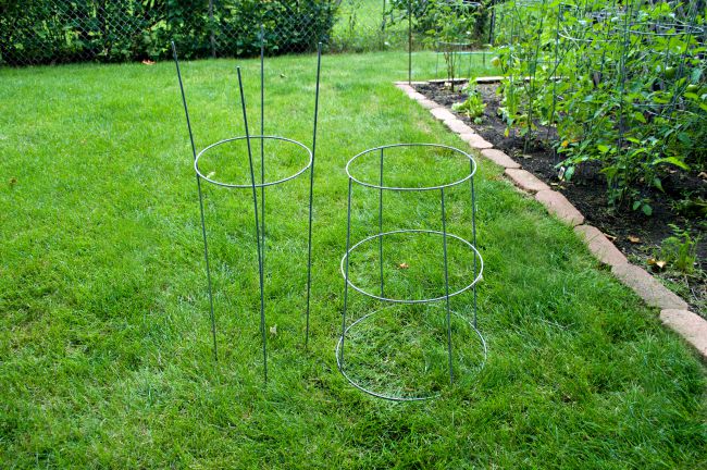 tomato cage cut in two pieces 