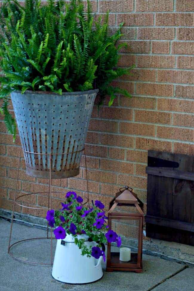 A quick and easy DIY. Make a cool plant stand from an old tomato cage and spray paint.