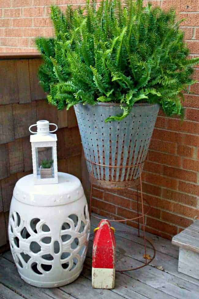 vintage olive bucket in DIY plant stand made from a tomato cage