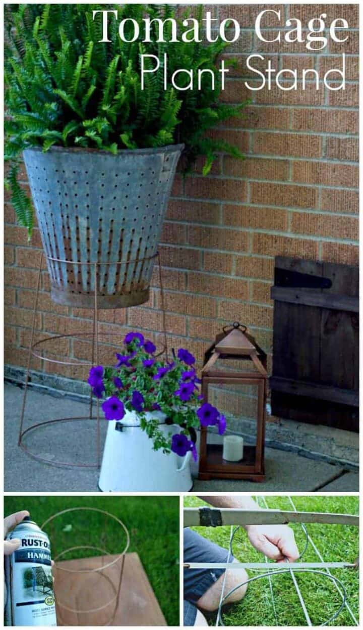 tomato cage plant stand with other potted plants