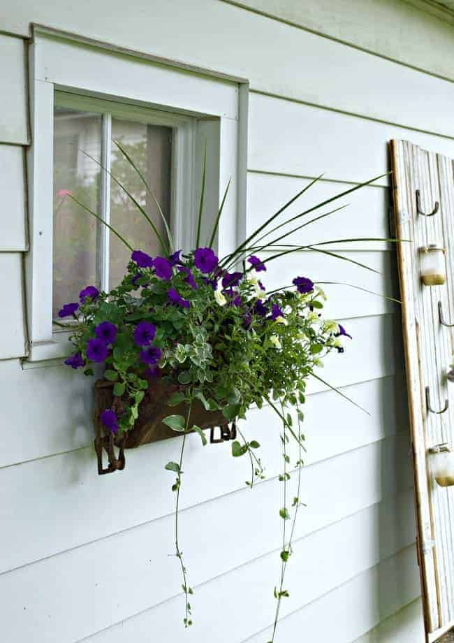 DIY Planter Box hanging on garage window planted with petunias