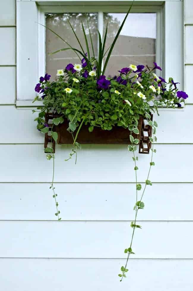 Pure Series Railing Planter Railing planters, Window planter boxes