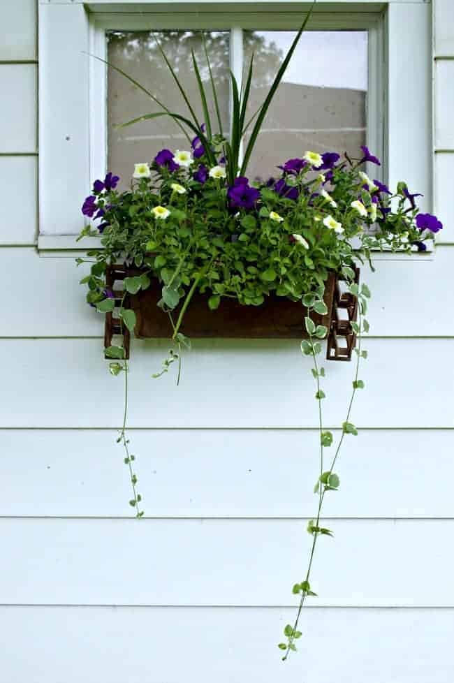 DIY Window Planter Box hanging on garage with petunias