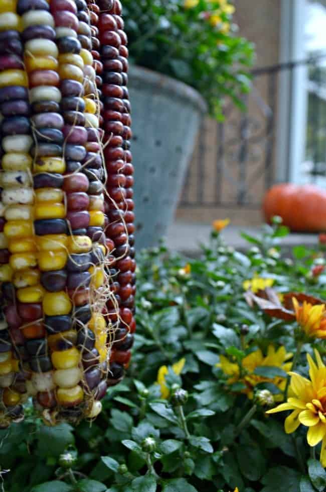 Fall Front Porch | www.chatfieldcourt.com