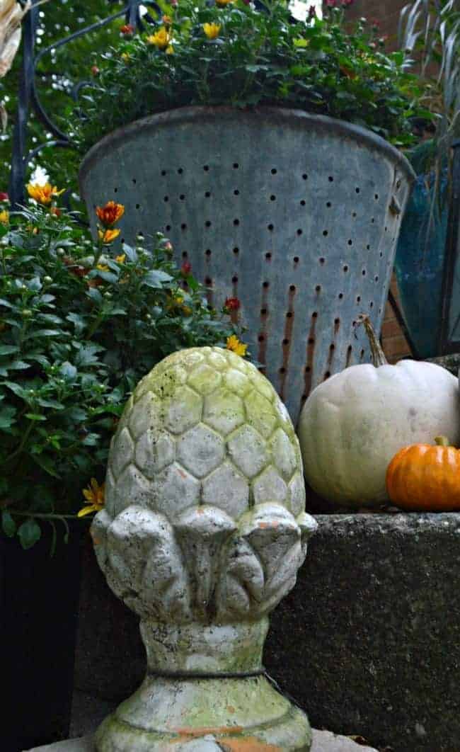 Decorating a small porch for fall with flowers, an olive bucket and lots of pumpkins. www.chatfieldcourt.com