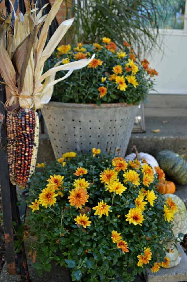 Fall Front Porch | www.chatfieldcourt.com