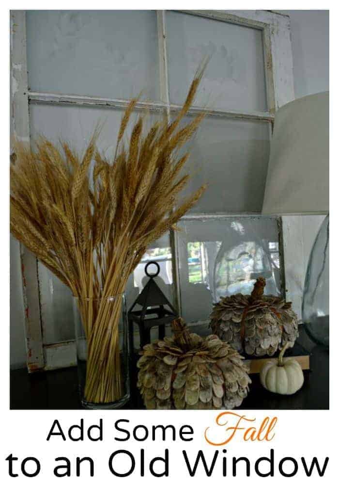 Add Some Fall to an Old Window | www.chatfieldcourt.com