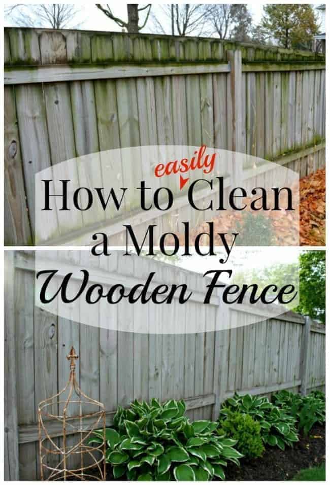 view of moldy fence before and after cleaning, and a large graphic