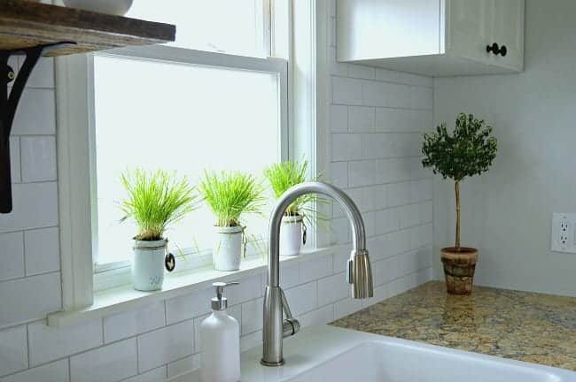 3 pastel painted mason jars planted with wheatgrass and sitting on a windowsill above a kitchen sink