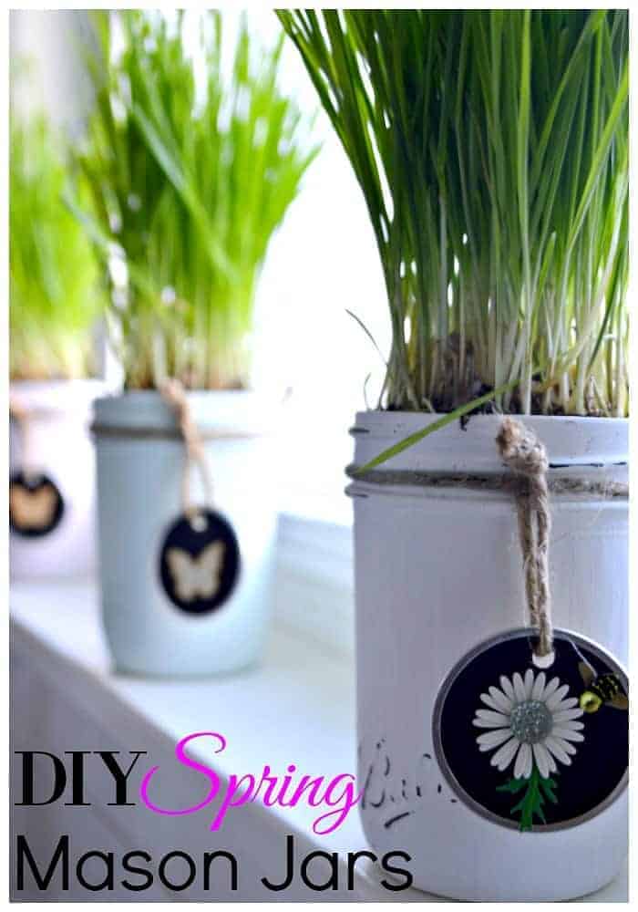 small mason jars painted in pastel colors and planted with wheatgrass on a windowsill