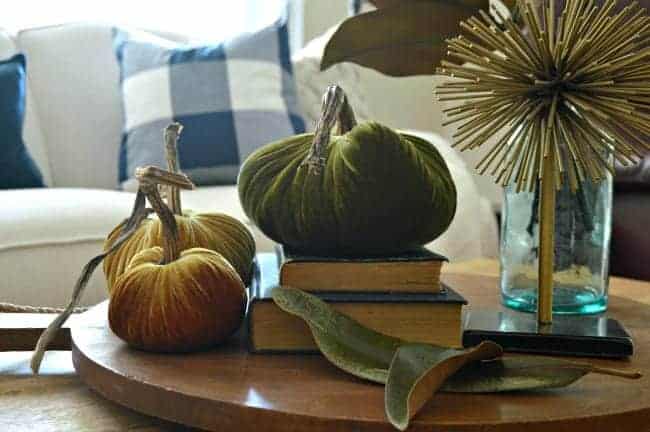 Pretty velvet pumpkins and other natural fall touches for a Seasonal Harvest Tour. 