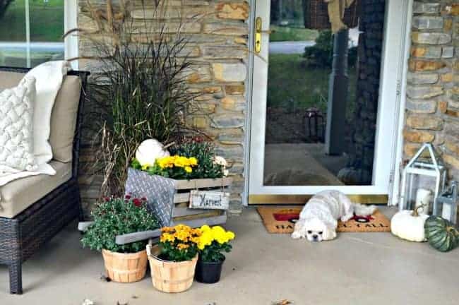 A simple fall front porch tour with rustic wheelbarrow, lanterns, mums and pumpkins. www.chatfieldcourt.com