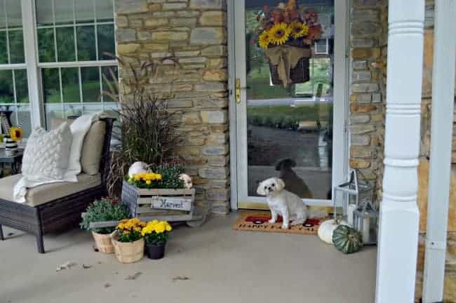 Building this rustic, industrial wheelbarrow, a pretty fall touch for the front porch. Learn to build your own at THD DIH Workshop near you. www.chatfieldcourt.com