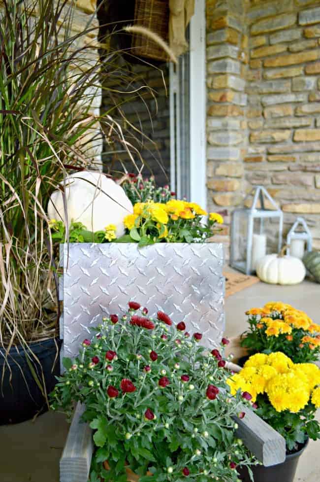 A simple fall front porch tour with rustic, industrial wheelbarrow, mums and pumpkins. www.chatfieldcourt.com