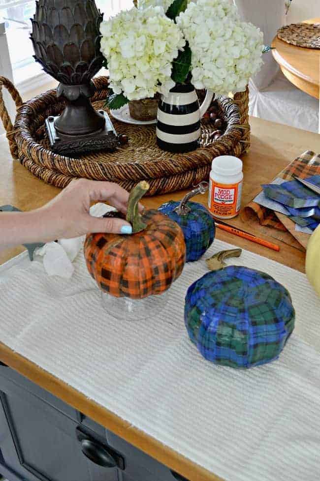 putting real pumpkin stem on plaid pumpkins