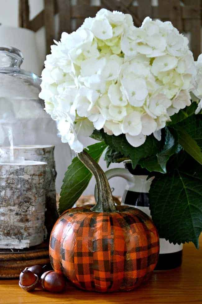 orange plaid pumpkin in front of vase with hydrangeas