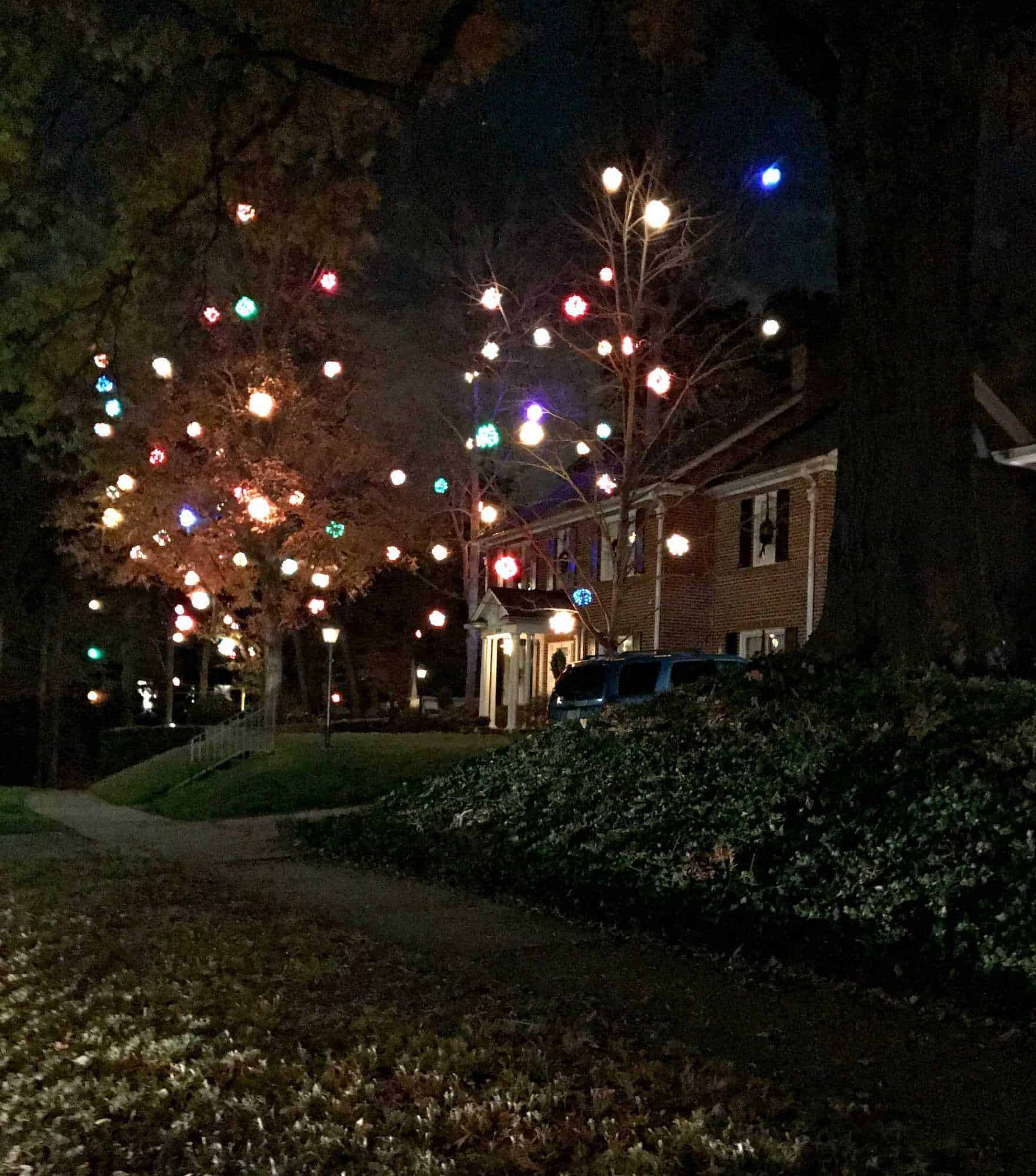 dozens of DIY lighted Christmas balls hanging in trees