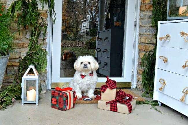 Decorating ideas for a cozy Christmas porch using a cute dog, fresh garland, lanterns and a few rustic touches. www.chatfieldcourt.com