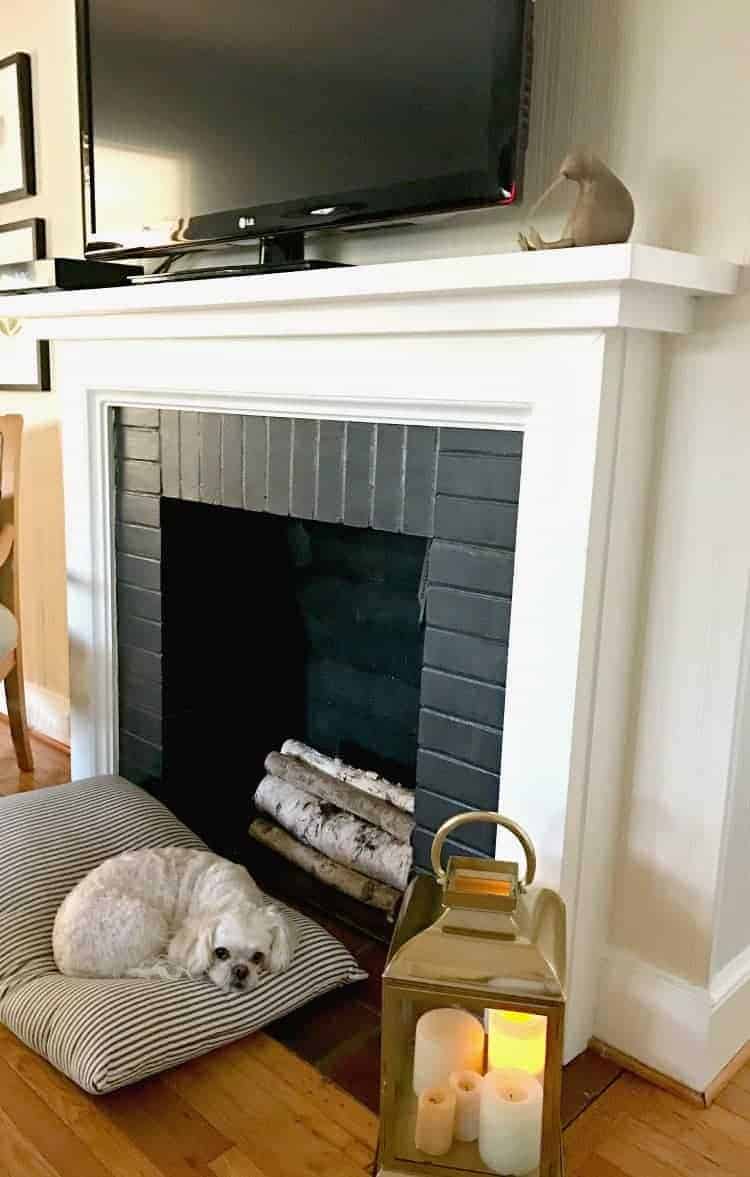 dog laying on pillow in front of fireplace