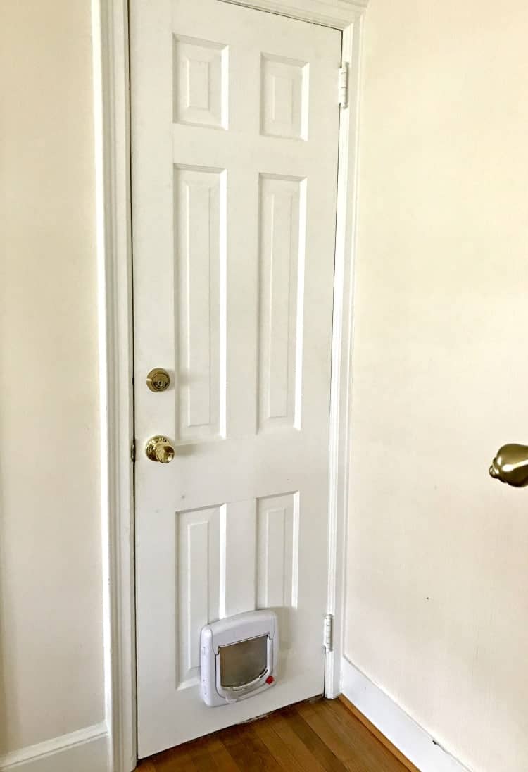 old, dirty basement door with pet door